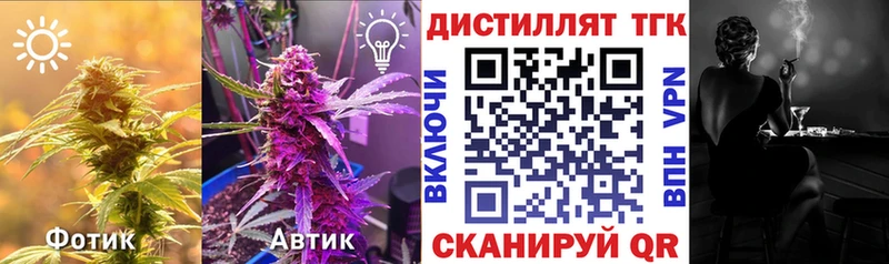 кракен   Лодейное Поле  ТГК концентрат 