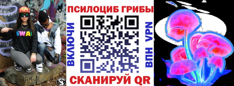 закладка  Лодейное Поле  Галлюциногенные грибы прущие грибы 